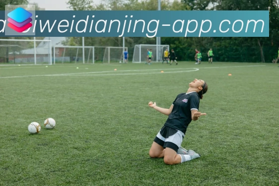全球热力图